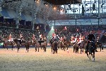 Cavalry - 00266